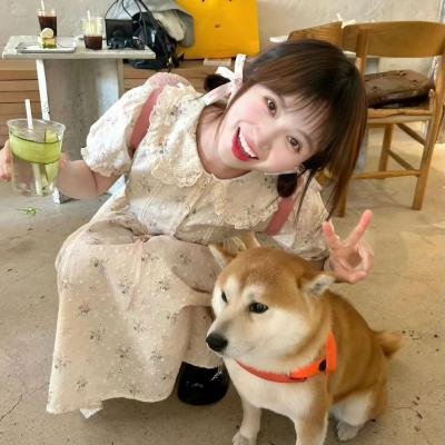轻音少女第二季