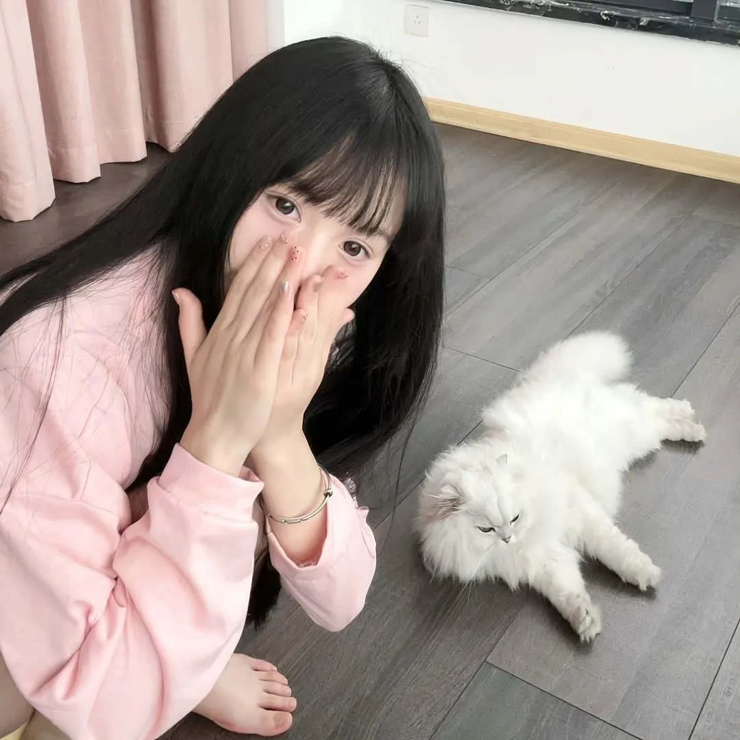 铁骑金戈